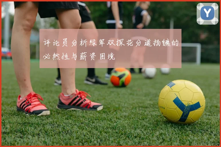 评论员分析绿军双探花分道扬镳的必然性与薪资困境