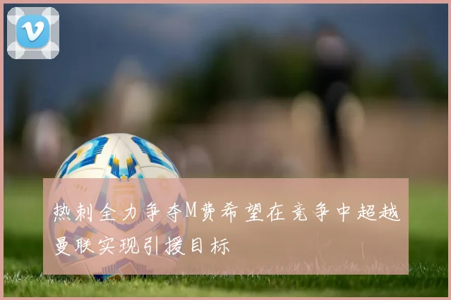 热刺全力争夺M费希望在竞争中超越曼联实现引援目标